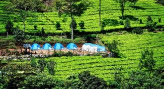 Tea Estate for sale in wayanad kerala