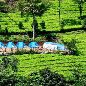 Tea Estate for sale in wayanad kerala