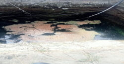 Coconut Farm for sale in batlagundu Coconut Farm for sale in batlagundu