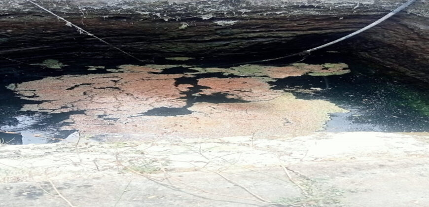 Coconut Farm for sale in batlagundu