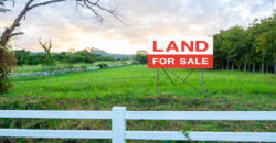 Commercial land for sale in near GH bodi Commercial land for sale in near GH bodi