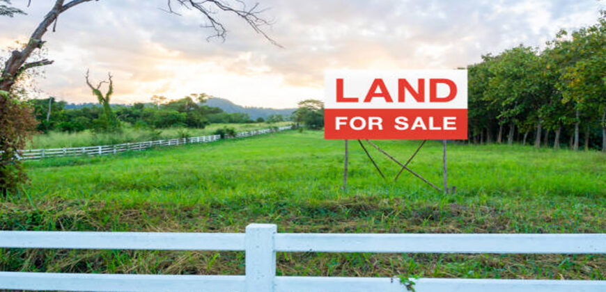 Commercial land for sale in near GH bodi