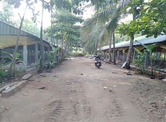 Poultry Farm for sale in periyakulam Poultry Farm for sale in periyakulam