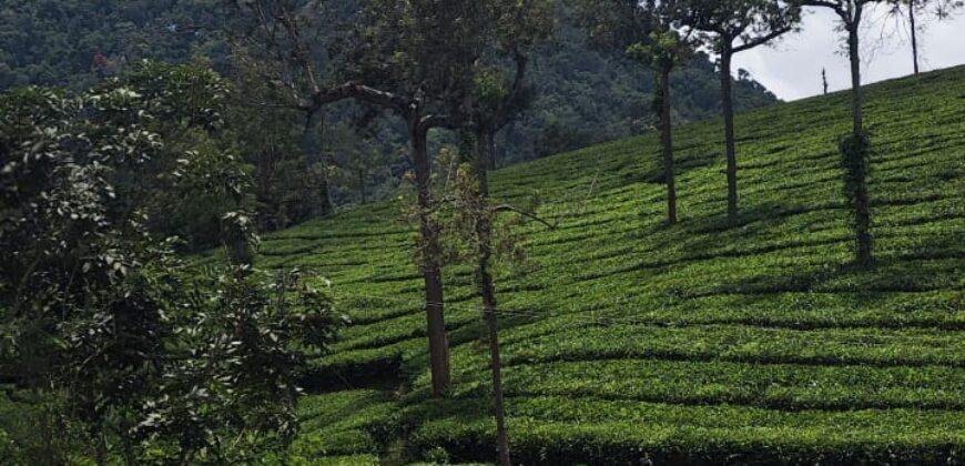 House with Shop For Sale in Vandiperiyar, Kerala