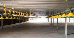 Poultry Farm for sale in periyakulam Poultry Farm for sale in periyakulam