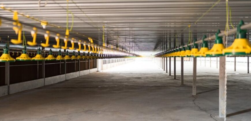 Poultry Farm for sale in periyakulam