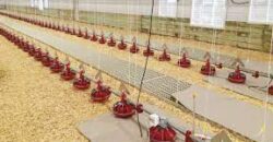 Poultry Farm for sale in periyakulam Poultry Farm for sale in periyakulam