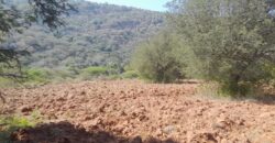 190 Acers Agriculture Land For Sale in Theni