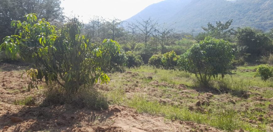 190 Acers Agriculture Land For Sale in Theni