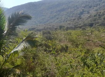 190 Acers Agriculture Land For Sale in Theni 190 Acers Agriculture Land For Sale in Theni