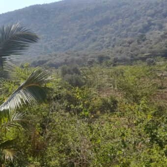 190 Acers Agriculture Land For Sale in Theni 190 Acers Agriculture Land For Sale in Theni