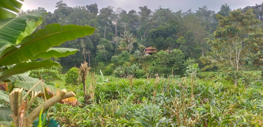 500 Acers Cardamom Pepper and Coffee Estate For Sale In Kerala