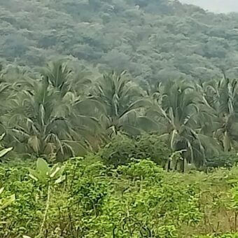 460 Acers Agriculture Land For Sale in Theni District 460 Acers Agriculture Land For Sale in Theni District