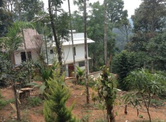 Farm Land For Sale in Kerala Farm Land For Sale in Kerala