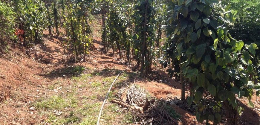 Farm Land For Sale in Kerala