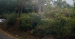 Commercial Land for sale in Kodaikanal Commercial Land for sale in Kodaikanal