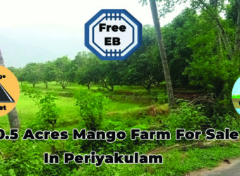 10 Acres Mango Farm For Sale in Periyakulam 10 Acres Mango Farm For Sale in Periyakulam
