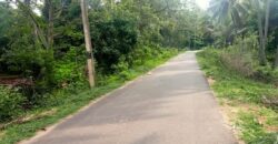 10 Acres Mango Farm For Sale in Periyakulam