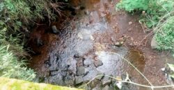 10 Acres Mango Farm For Sale in Periyakulam