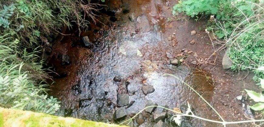 10 Acres Mango Farm For Sale in Periyakulam