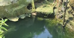 Farm Land For Sale in Chinnamanur