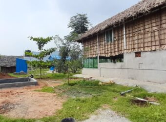 Organic Farm land for sale in Periyakulam Organic Farm land for sale in Periyakulam