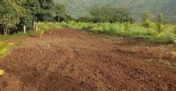 Organic Farm land for sale in Periyakulam Organic Farm land for sale in Periyakulam