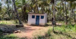 Coconut farm for sale in periyakulam, nearby bypass Coconut farm for sale in periyakulam, nearby bypass