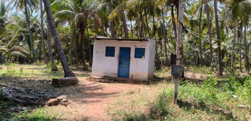 Coconut farm for sale in periyakulam, nearby bypass