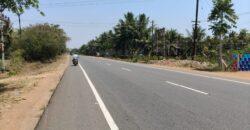 Coconut farm for sale in periyakulam, nearby bypass Coconut farm for sale in periyakulam, nearby bypass