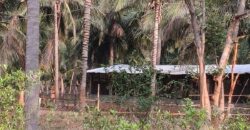 Agriculture Farm land for sale in Theni District Agriculture Farm land for sale in Theni District