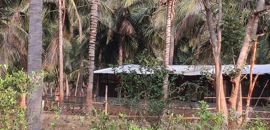 Agriculture Farm land for sale in Theni District