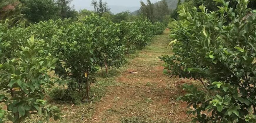 Agriculture Farm land for sale in Theni District