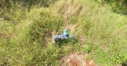 Mango Farm for Sale in Theni District Mango Farm for Sale in Theni District