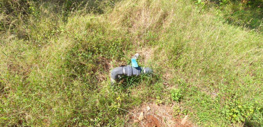 Mango Farm for Sale in Theni District