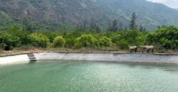 Agriculture Farm land for sale in Theni District Agriculture Farm land for sale in Theni District