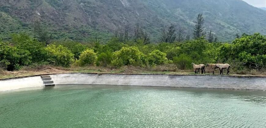 Agriculture Farm land for sale in Theni District