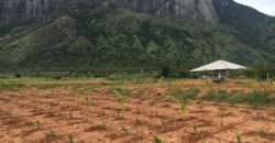Agriculture Farm land for sale in Theni District Agriculture Farm land for sale in Theni District