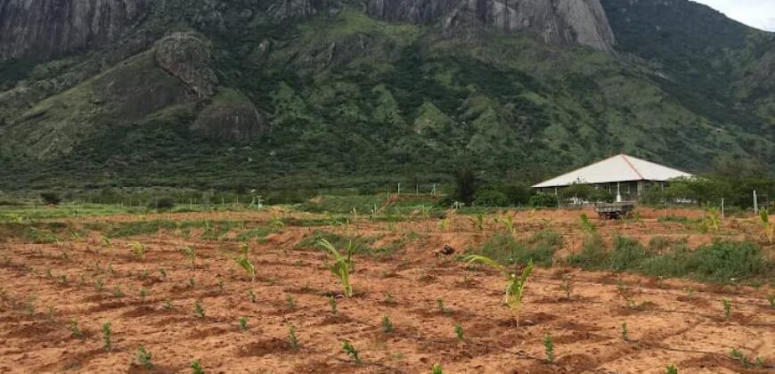 Agriculture Farm land for sale in Theni District