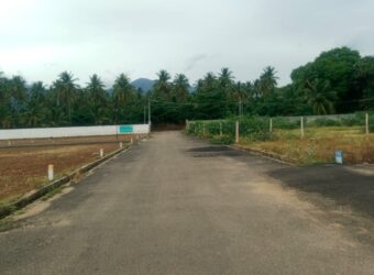 Residential plot for sale in Bodinayakanur Residential plot for sale in Bodinayakanur
