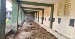 Agriculture with coconut farm for sale in Theni District Agriculture with coconut farm for sale in Theni District