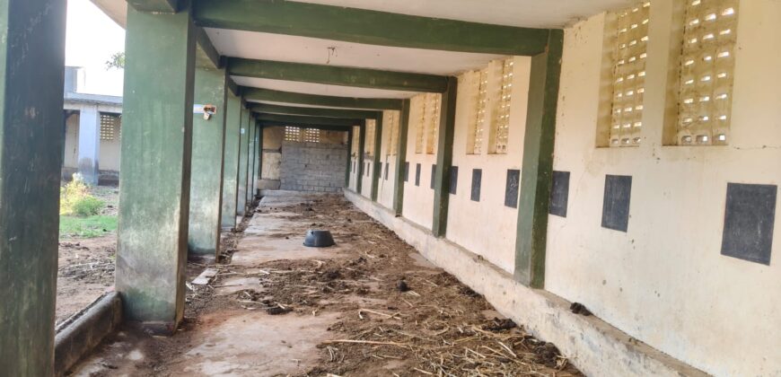 Agriculture with coconut farm for sale in Theni District