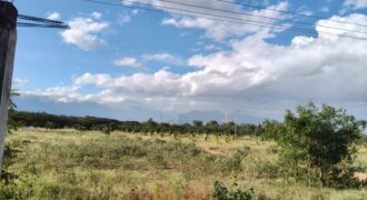 Agriculture with coconut farm for sale in Theni District Agriculture with coconut farm for sale in Theni District