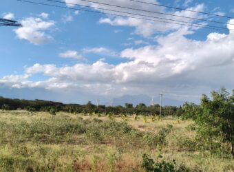 Agriculture with coconut farm for sale in Theni District Agriculture with coconut farm for sale in Theni District