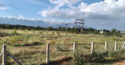 Agriculture with coconut farm for sale in Theni District Agriculture with coconut farm for sale in Theni District
