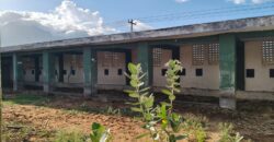 Agriculture with coconut farm for sale in Theni District Agriculture with coconut farm for sale in Theni District