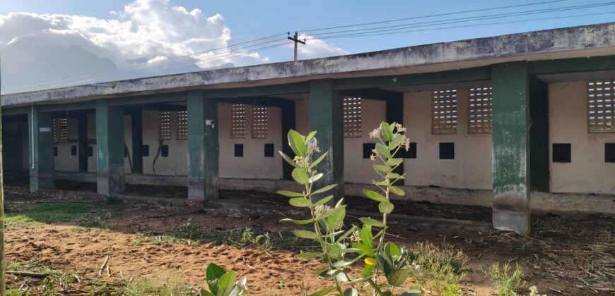 Agriculture with coconut farm for sale in Theni District